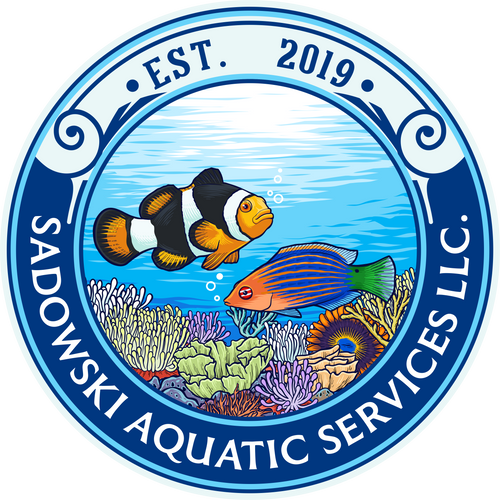 Sadowski Aquatics